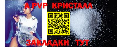 мдпв Кингисепп