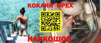 мдпв Кингисепп