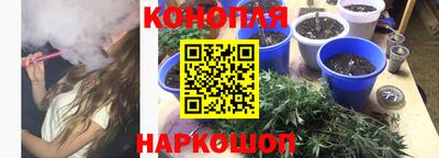 индика Кинель