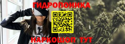 индика Кинель