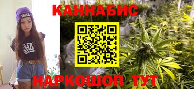 мдпв Кингисепп