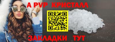 мдпв Кингисепп