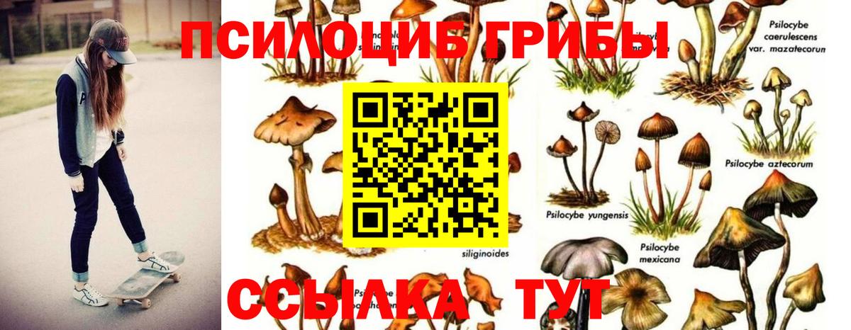 Корсаков  Псилоцибиновые грибы ЛСД  цена наркотик  Вход с VPN 