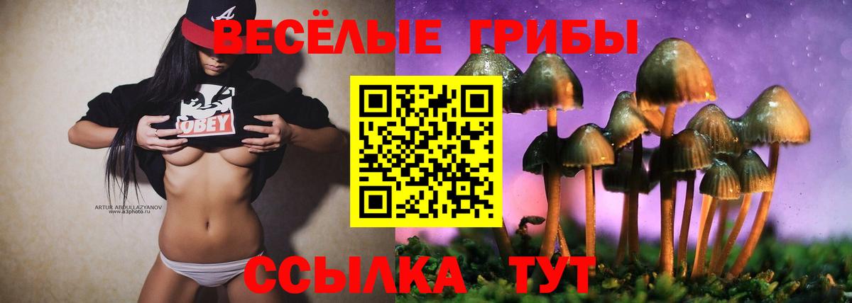 Галлюциногенные грибы ЛСД Корсаков